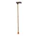Walking Stick L Type - Bk 1 count