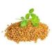 TRS fenugreek seeds methi 100 g with Kajal wheatfree lightly roasted 100 natural ideal for curry spice mixtures and tea premium quality vegan and glutenfree 100 GRAMM - Buy Online on GoSupps.com