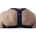 Buy Swedish Posture Trainer Classic Back Trainer M/L - Improve Posture & Comfort | Ships Internationally - Buy Online on GoSupps.com