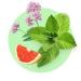 Splat Special Stress Off Toothpaste - Soothing Formula for Fresh Breath & Relaxation | Buy Internationally - Buy Online on GoSupps.com