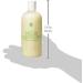 Mystic Moments Organic Palm Oil 500g - 100% Pure Carrier Oil for Skin & Hair | International Shipping - Buy Online on GoSupps.com