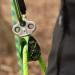 Notch Rook Triple Attachment Swivel Pulley - Green (34201) - Buy Online on GoSupps.com