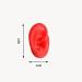 Flexible Silicone Ear Sample - Artificial Simulation Ear Red Ear Silicone Ear Model for Acupuncture Studs Earrings Earphones Helmet Display 1pair - Buy Online on GoSupps.com