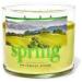 Buy White Barn The Perfect Spring 3-Wick Candle 14.5 oz - International Shipping Available | Fresh Floral Scent for Home Decor - Buy Online on GoSupps.com