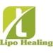 Buy Medium Breast Implant Augmentation Stabilizer - USA Shapewear Inc. | International Shipping Available - Buy Online on GoSupps.com