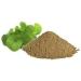Brahmi Poudre Bacopa Monnieri Brahmi Churna pour manger cheveux 100 g - Buy Online on GoSupps.com