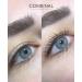  G n rique Combinal Eyelash and Eyebrow Tint 05-Brown 15 ml - Buy Online on GoSupps.com