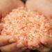 Best Himalayan Salt Mix for Energizing & Detoxifying Bath Soak - Sea Salt Mix for Body & Spirit Rejuvenation - Buy Online on GoSupps.com