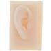 Silicone Ear Model for Educational Kit for The Acupuncture Treatment of The School Model of Human Ear Silicone-Size Natural 1 1 1 Pair - Buy Online on GoSupps.com