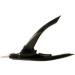 sonailsofrench Black Sash - Buy Online on GoSupps.com