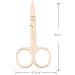 BBAUER Craft Scissors - Stainless Steel Small Nail & Eyebrow Scissors for Manicure & Trimming | Professional Beauty Tool - Buy Online on GoSupps.com