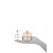 The History of Whoo Cheongidan Hwahyun Cream | Premium Radiant Regenerating Cream - 60ml - Buy Online on GoSupps.com