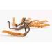 JAY Cordyceps Sinensis Powder (Caterpillar Fungus) Ophiocordyceps Sinensis Mushroom 100 g - Buy Online on GoSupps.com