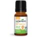 Wellements Organic Baby Tooth Oil - Teething Relief, Dye-Free, Paraben-Free, 0.5 Fl oz - Buy Online on GoSupps.com