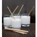 World Centric Compostable Paper Straws - 50 Pack | Eco-Friendly & Sustainable - Buy Online on GoSupps.com