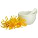 Buy Flanax Arnica Chest Rub - Fast Shipping Worldwide | Pain Relief & Muscle Soothing - Buy Online on GoSupps.com