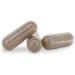 Organic Harpagophytum 400mg - 60 Capsules | Titrated 2.7% Harpagoside for Joint & Digestive Health - International Shipping - Buy Online on GoSupps.com