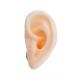 Simulation Silicone Ear Model - Life Size Artificial Ear Model Soft Silicone Ear Model for Teaching - for Ear Picking Practice Studs Earring Display Props left