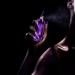 MUGLER Alien Eau de Parfum 1.0 oz - Transform Your Style with the Best Innovation Today! - Buy Online on GoSupps.com