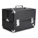 Discover Caboodles Primped & Polished Makeup Case - Elevate Your Style Instantly! - Buy Online on GoSupps.com