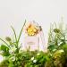Discover Marc Jacobs Daisy Eau So Fresh Eau de Toilette Pen Spray 0.3 oz - Elevate Your Style Instantly! - Buy Online on GoSupps.com