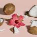 Discover SheaMoisture Hold and Shine Moisture Mist Coconut and Hibiscus for Frizz Control 8.0 oz - Elevate Your Style Instantly! - Buy Online on GoSupps.com