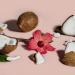 Discover SheaMoisture Coconut & Hibiscus Curl Mousse 7.5 oz - Elevate Your Style Instantly! - Buy Online on GoSupps.com