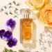 Discover EstÃ©e Lauder Cinnabar Eau de Parfum Fragrance Spray 1.7 oz - Elevate Your Style Instantly! - Buy Online on GoSupps.com