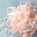 Discover EcoTools Delicate EcoPouf Loofah 1 ct - Elevate Your Style Instantly! - Buy Online on GoSupps.com
