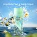 Elizabeth Arden Green Tea Eau de Toilette Spray 3.3 oz - Transform Your Style with the Best Innovation Today! - Buy Online on GoSupps.com