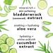 Discover Mario Badescu Facial Spray with Aloe, Cucumber and Green Tea 8.0 oz - Elevate Your Style Instantly! - Buy Online on GoSupps.com