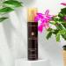 Discover L'anza Healing Oil Bounce Up Spray 6.1 oz - Elevate Your Style Instantly! - Buy Online on GoSupps.com