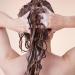Discover Not Your Mother's Curl Talk Curl Care Daily Shampoo 12.0 oz - Elevate Your Style Instantly! - Buy Online on GoSupps.com