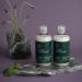 Paul Mitchell Travel Size Tea Tree Lavender Mint Moisturizing Conditioner 2.5 oz - Discover Premium Quality Shop now! - Buy Online on GoSupps.com