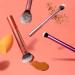 Real Techniques Everyday Essentials Makeup Brush & Sponge Set - Discover Premium Quality Shop now! - Buy Online on GoSupps.com