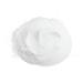 Discover DHC Face Wash Powder Facial Cleanser 1.7 oz - Elevate Your Style Instantly! - Buy Online on GoSupps.com