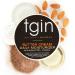 tgin Butter Cream Daily Moisturizer 12.0 oz - Discover Premium Quality Shop now! - Buy Online on GoSupps.com
