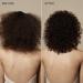 Paul Mitchell Tea Tree Lavender Mint Curl Refresh Foam 6.8 oz - Transform Your Style with the Best Innovation Today! - Buy Online on GoSupps.com