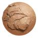 Discover Revolution Beauty Bronzer Reloaded Long Weekend - Elevate Your Style Instantly! - Buy Online on GoSupps.com