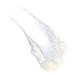 Discover Indeed Labs Hydraluron+ Volumising Lip Treatment 0.31 oz - Elevate Your Style Instantly! - Buy Online on GoSupps.com