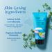 belif Aqua Bomb Hydrating Jelly Cleanser 5.4 oz - Transform Your Style with the Best Innovation Today! - Buy Online on GoSupps.com