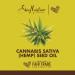 SheaMoisture Cannabis Sativa Skin Rescue Moisturizer 2.0 oz - Transform Your Style with the Best Innovation Today! - Buy Online on GoSupps.com