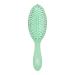 Discover Wet Brush Go Green Tea Tree Oil Infused Treatment & Shine Brush - Elevate Your Style Instantly! - Buy Online on GoSupps.com