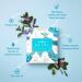 Curlsmith Detox Microbiome Scalp System - Transform Your Style with the Best Innovation Today! - Buy Online on GoSupps.com