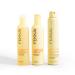 FEKKAI Full Blown Volume Shampoo 8.5 oz - Transform Your Style with the Best Innovation Today! - Buy Online on GoSupps.com