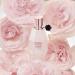 Discover Viktor&Rolf Flowerbomb Dew Eau de Parfum 1.7 oz - Elevate Your Style Instantly! - Buy Online on GoSupps.com