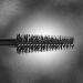 HOURGLASS Caution Extreme Lash Mascara 0.33 oz - Transform Your Style with the Best Innovation Today! - Buy Online on GoSupps.com