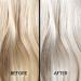 Discover L'ange Violet Purple Toning Shampoo 8.4 oz - Elevate Your Style Instantly! - Buy Online on GoSupps.com