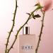 Discover LancÃ´me IdÃ´le Power CrÃ©me 6.7 oz - Elevate Your Style Instantly! - Buy Online on GoSupps.com