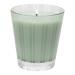 NEST New York Wild Mint & Eucalyptus Classic Candle 8.1 oz - Transform Your Style with the Best Innovation Today! - Buy Online on GoSupps.com